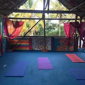 Mk Gardens Surf & Yoga House India